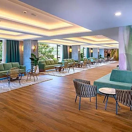 Отель Riu Buenavista 4*